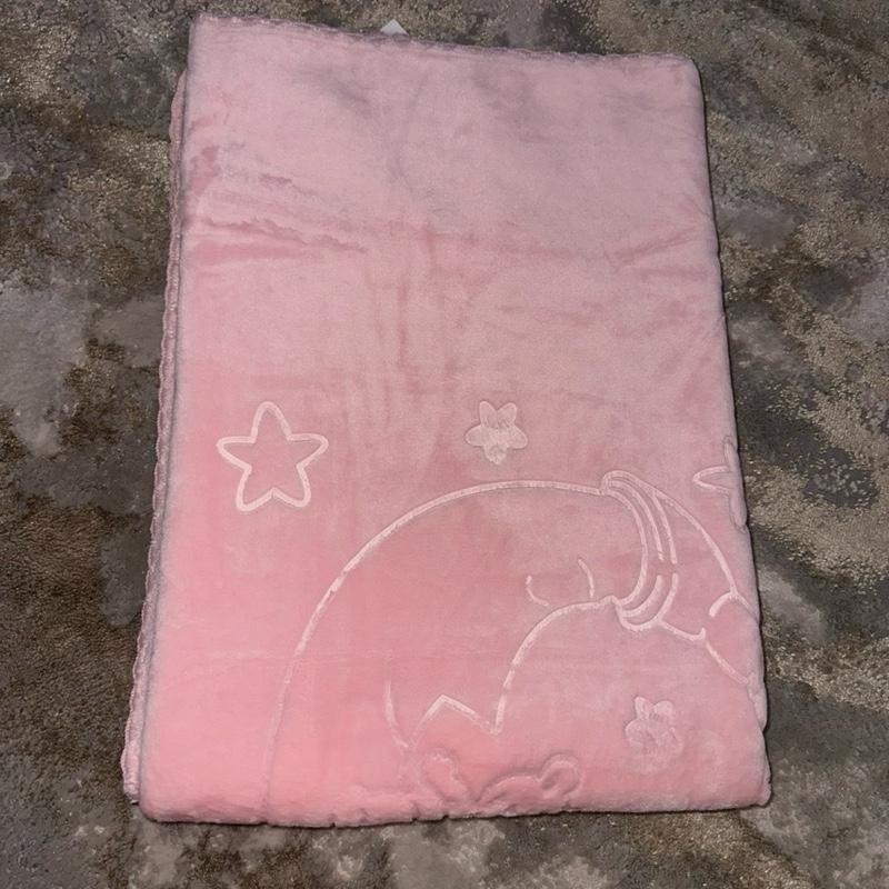 Mink Baby Blanket
